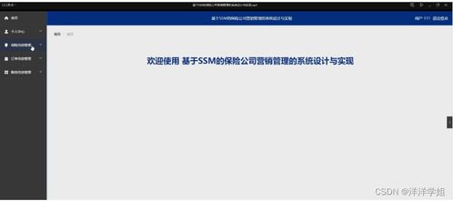 朝陽(yáng)保險(xiǎn)公司營(yíng)銷(xiāo)管理系統(tǒng)（SSM框架）設(shè)計(jì)與實(shí)現(xiàn)——新手入門(mén)指南