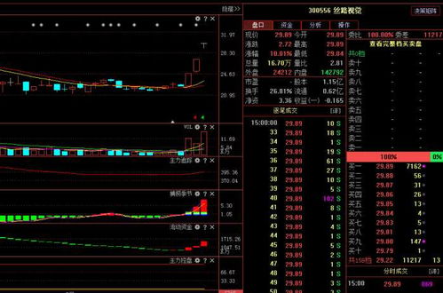 絲路視覺（300556） 主力悄然布局，計算機(jī)軟硬件業(yè)務(wù)驅(qū)動下未來走勢深度解析
